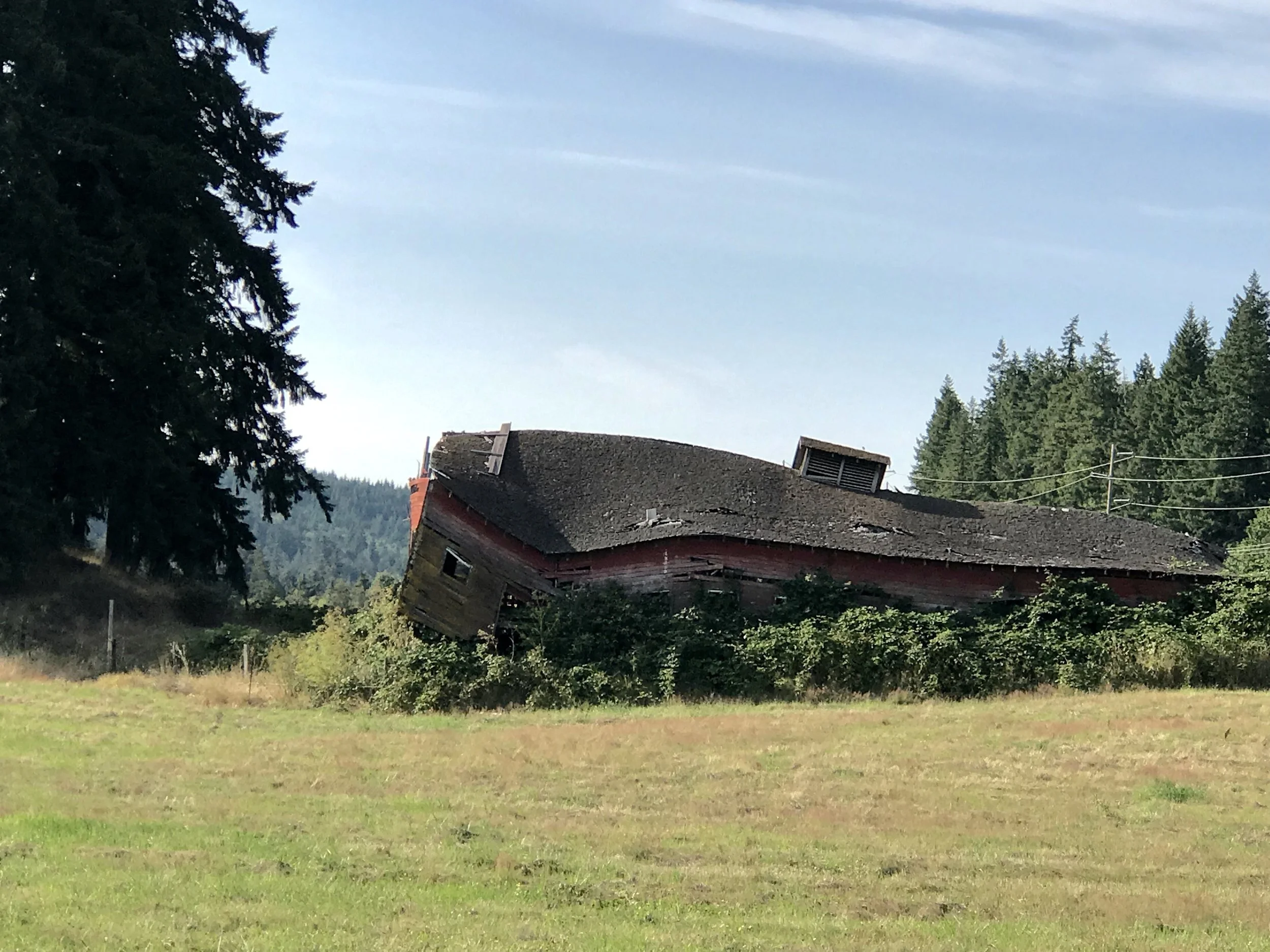 The old barn on Beaver Valley Road that I have been taking photos of for years. It’s barely standing, being reclaimed by the earth.
