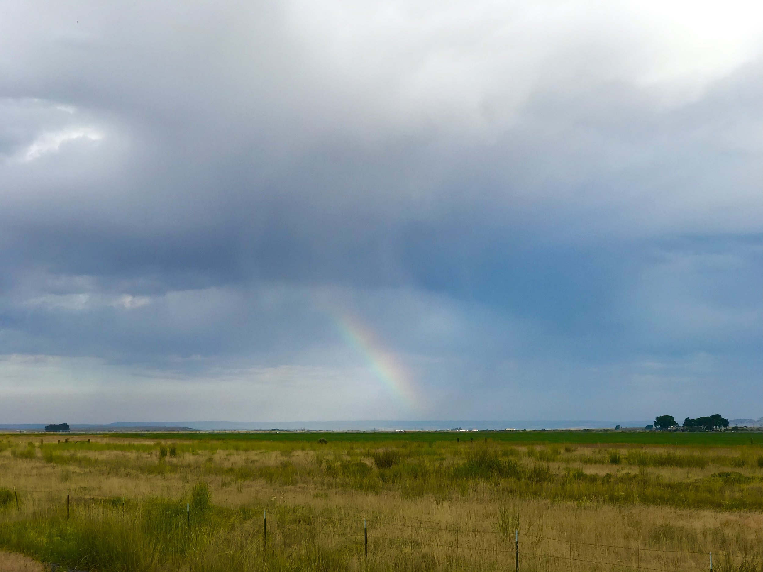 Sunrise rainbow