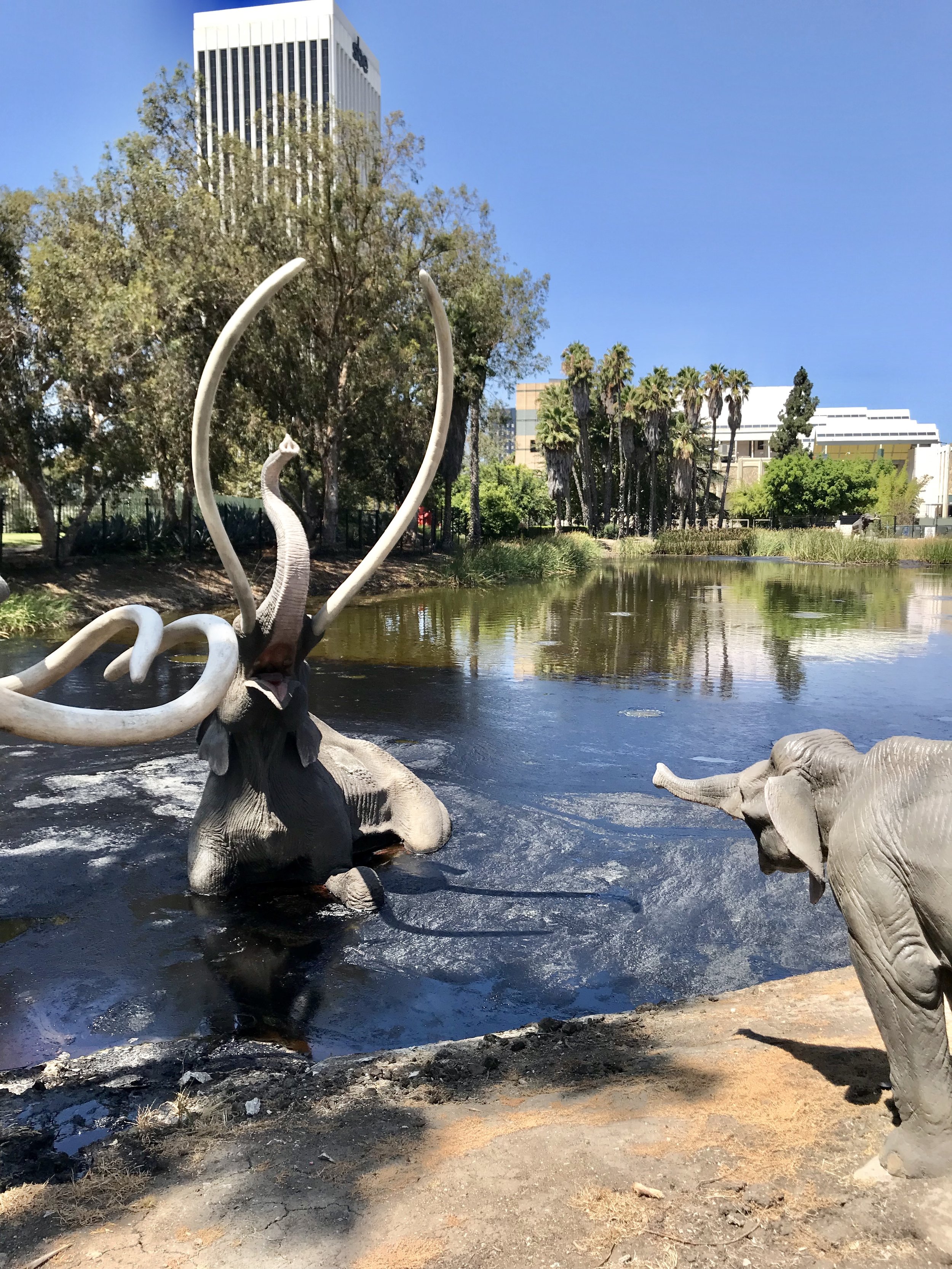 La Brea Tarpits