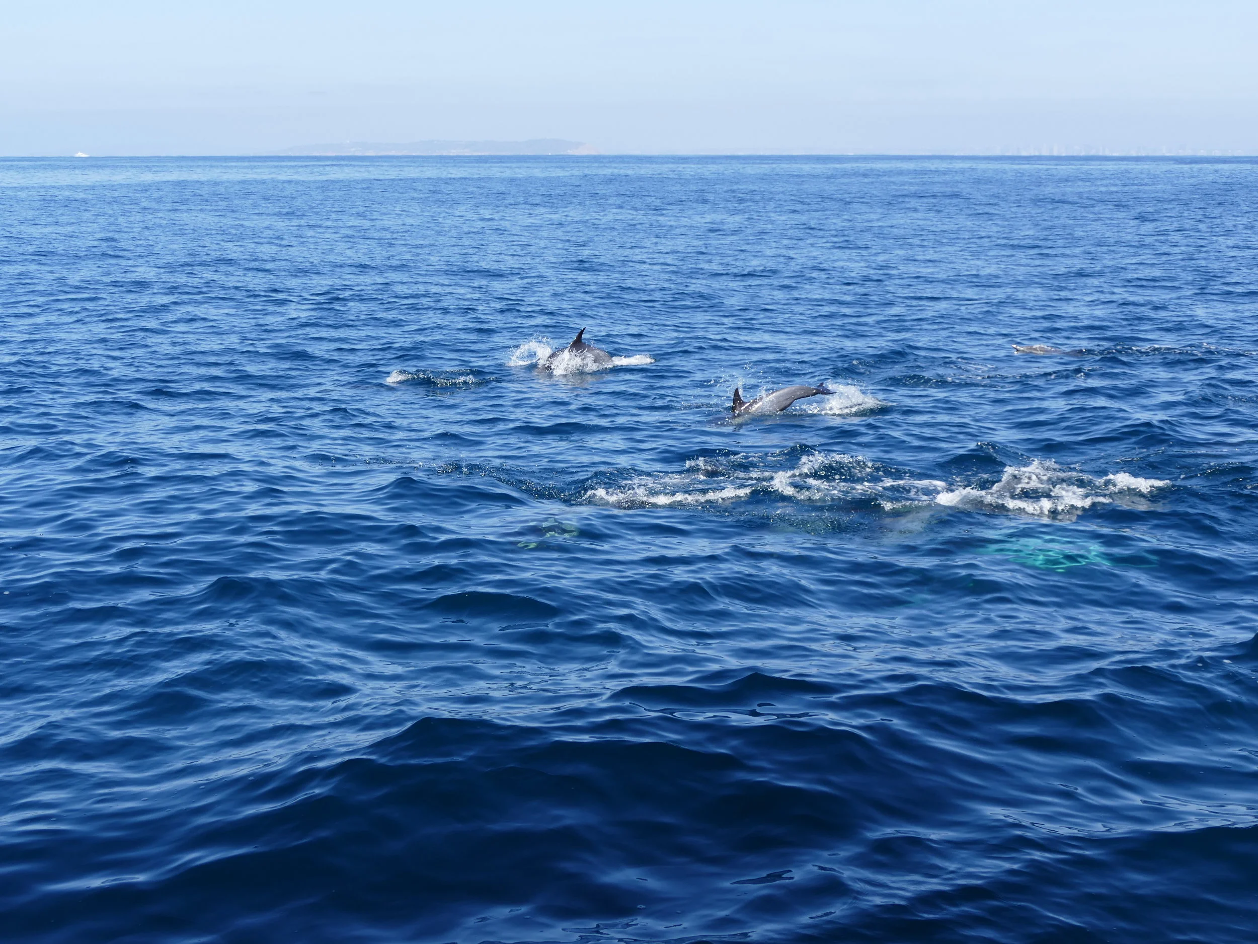 Staycation Extraordinaire