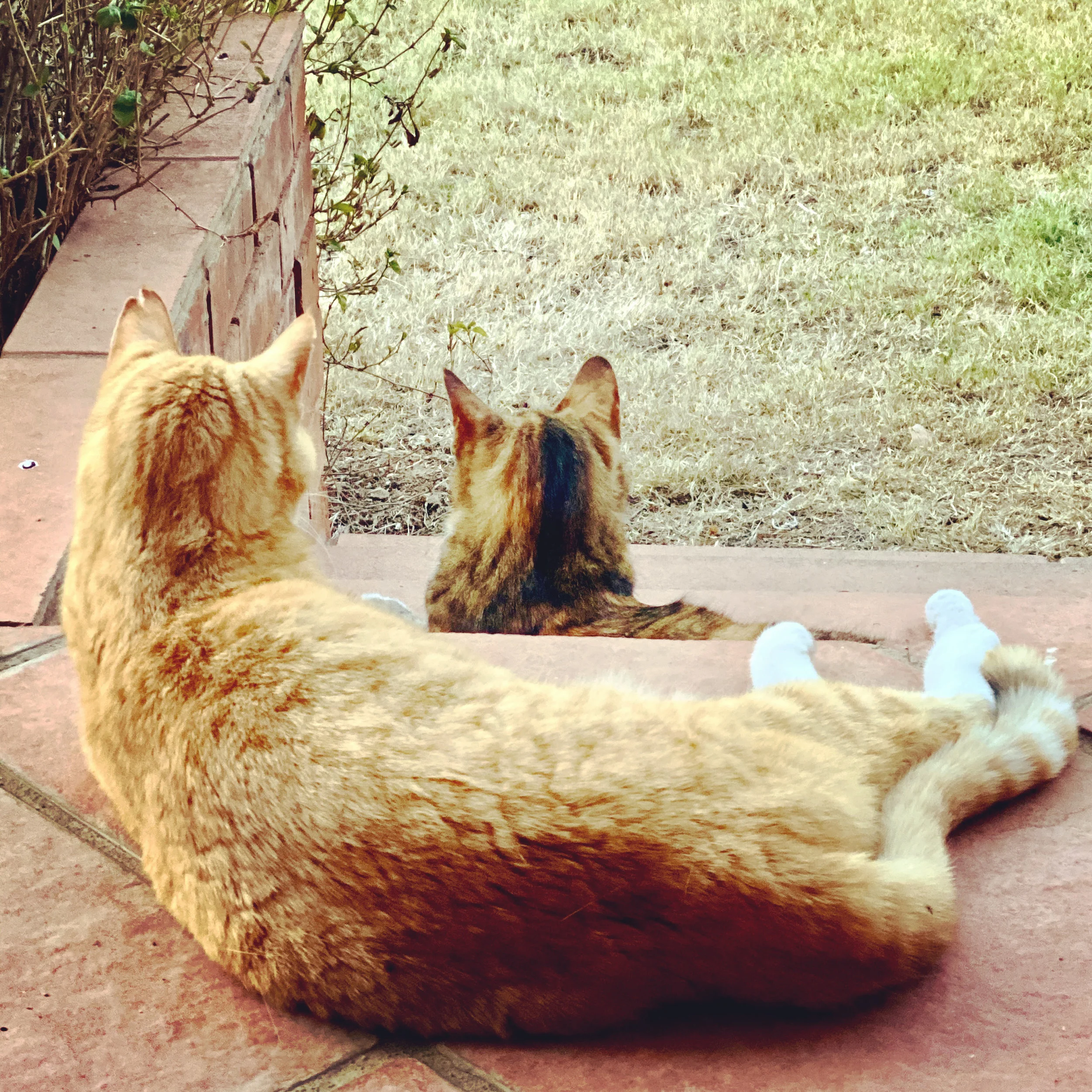 Settling In