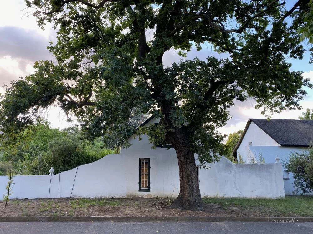 cape201909.jpg