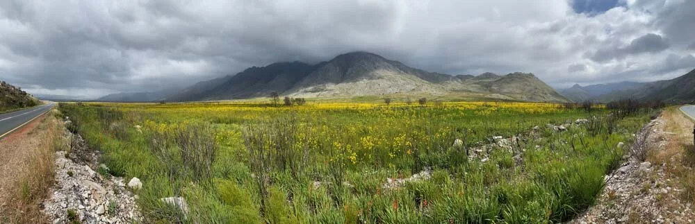 cape201920.jpg