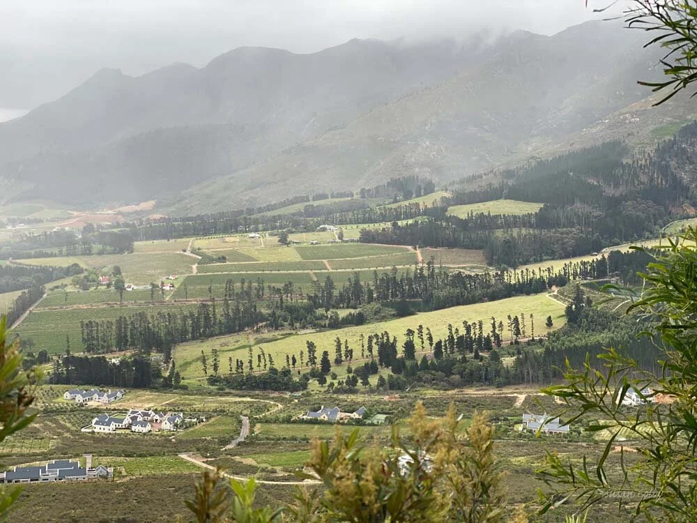 cape201925.jpg