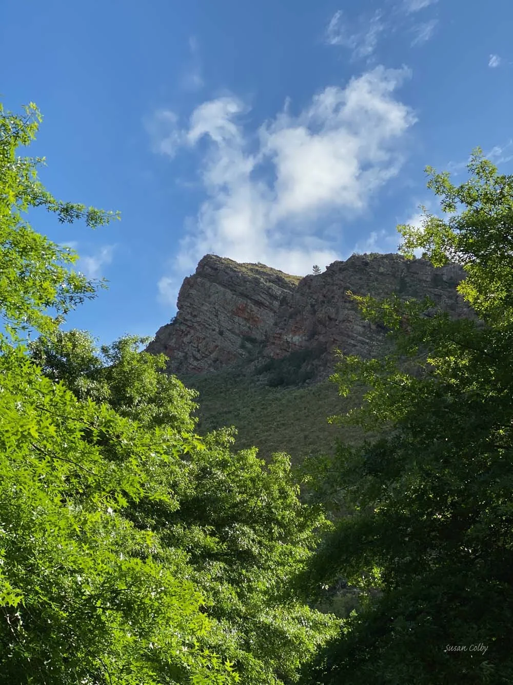 cape201930.jpg