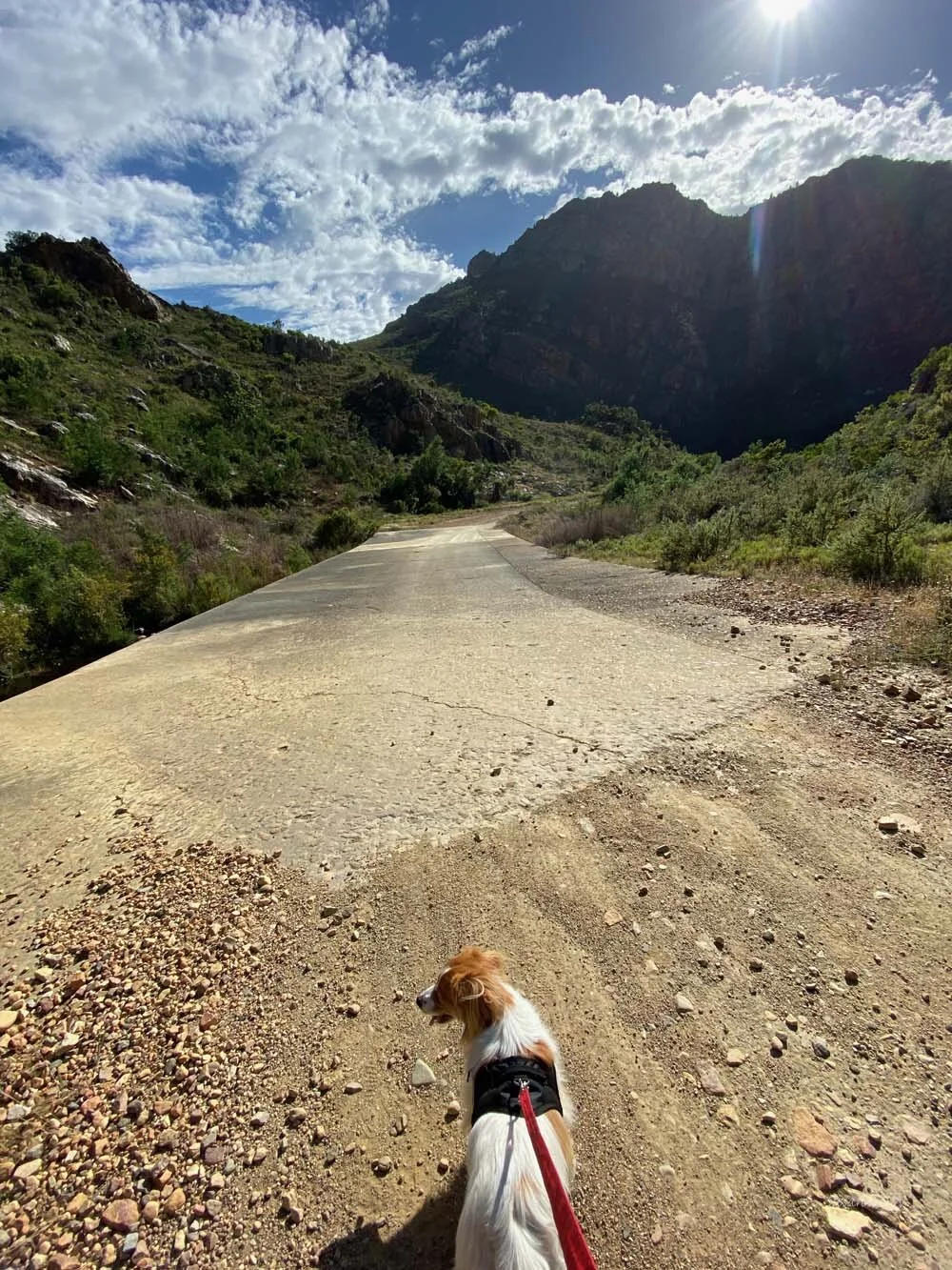 cape201935.jpg