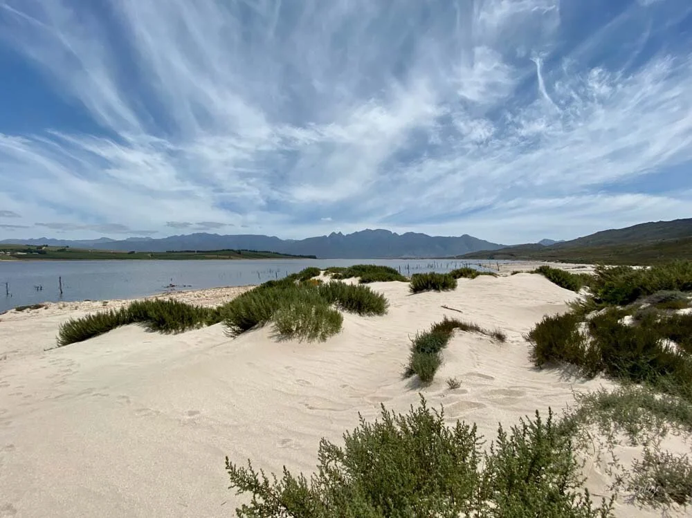 cape201951.jpg