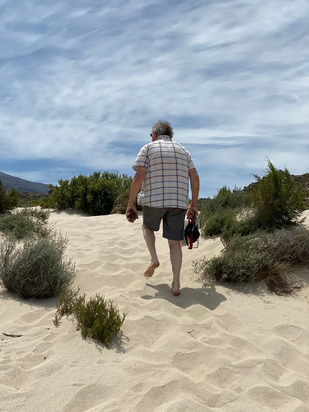cape201954.jpg