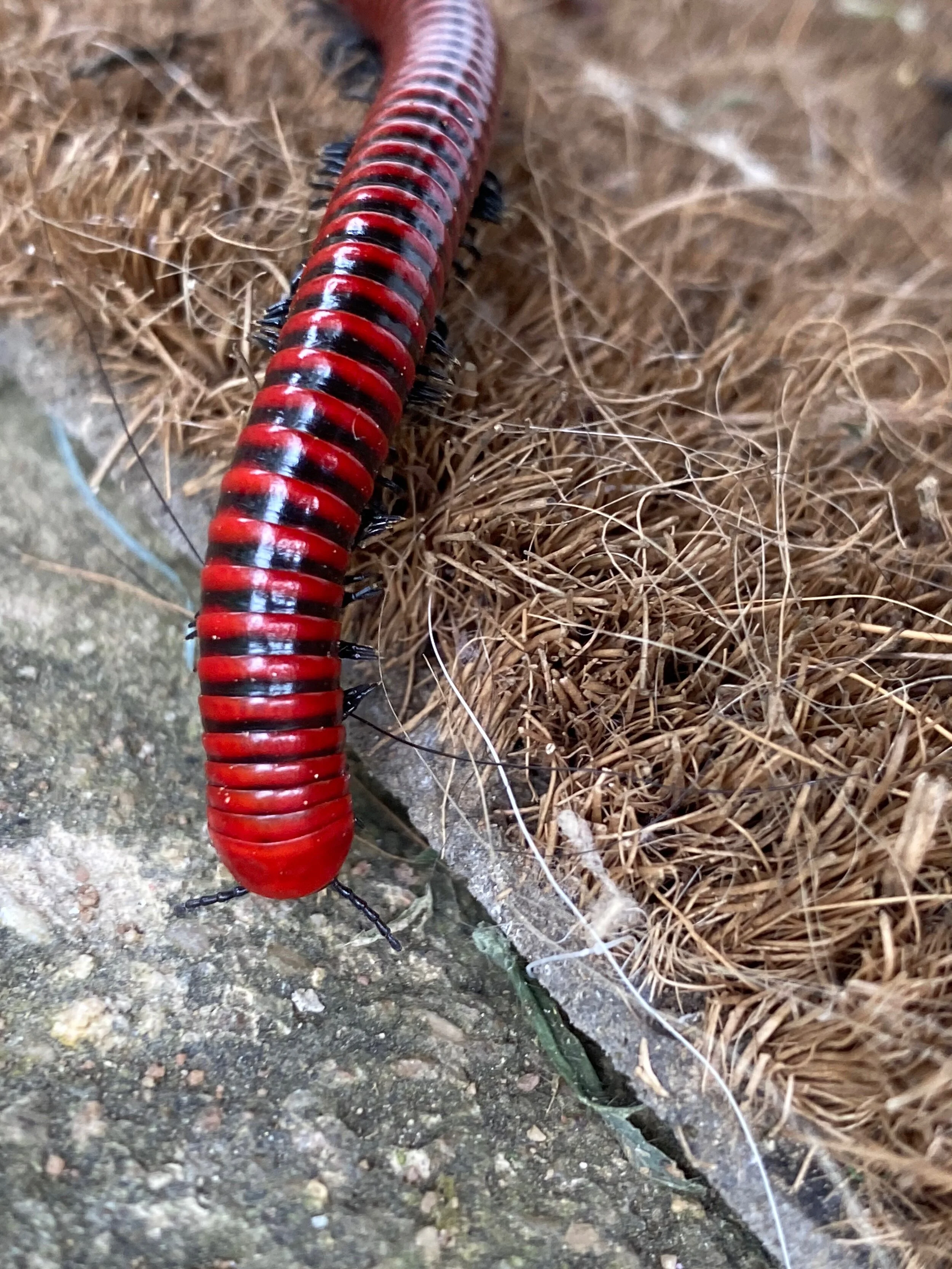 Learning to Live a New Life