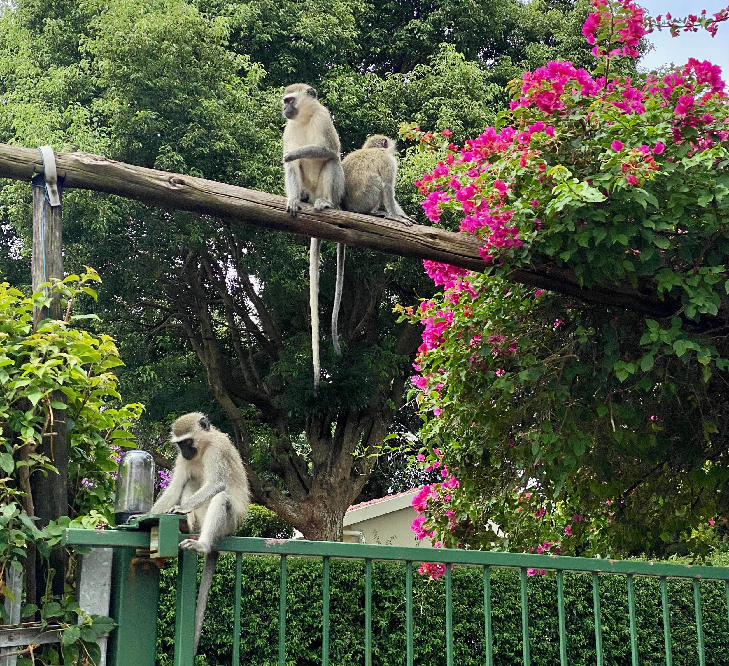 You Should Write a Book