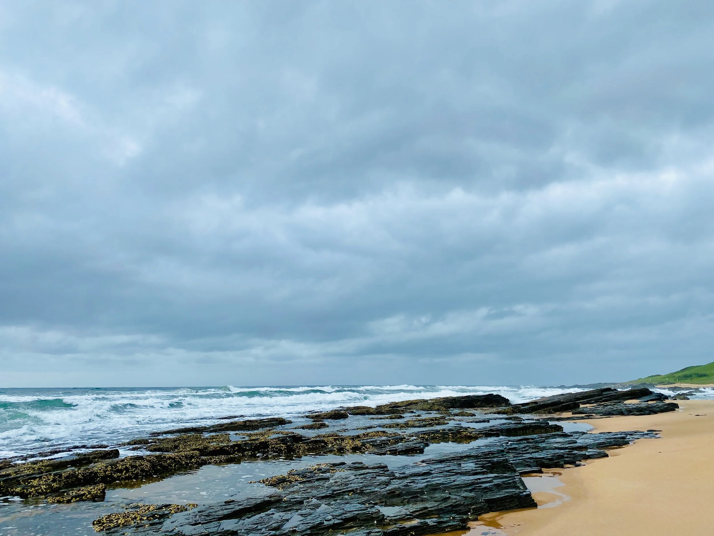 An Experiment in Living