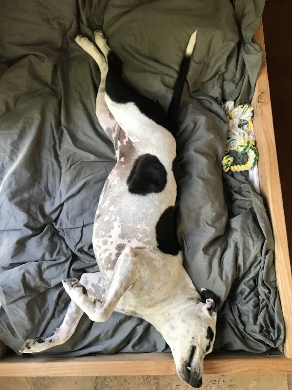 Why Am I Having Such A Hard Time Grasping The Concepts?