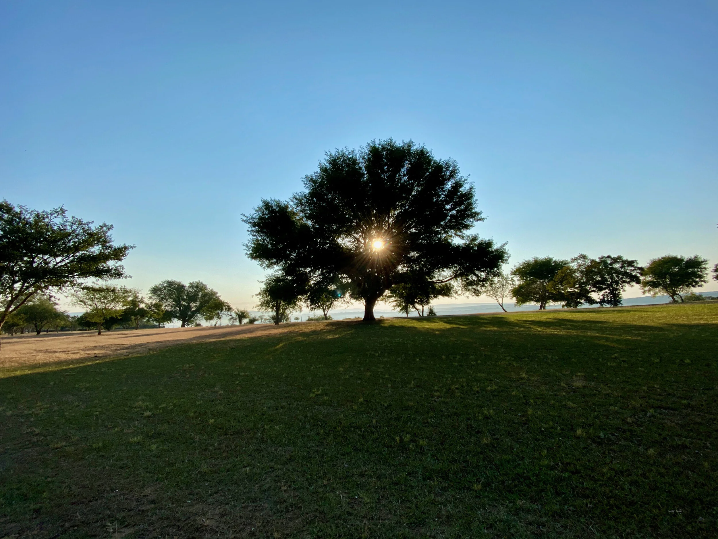 Glimmer of Light at the End of the Lockdown