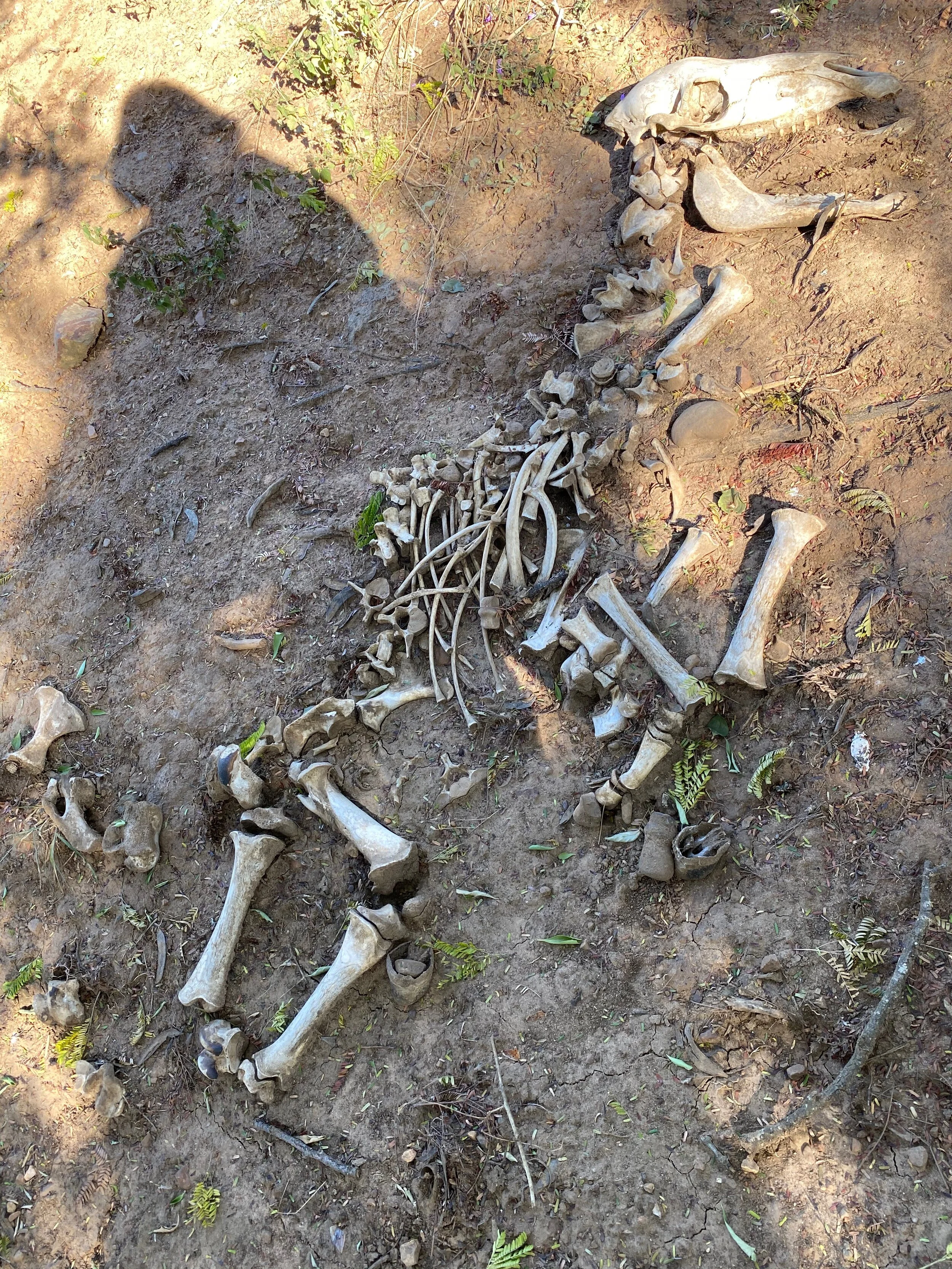 Feels Like a Whole New World