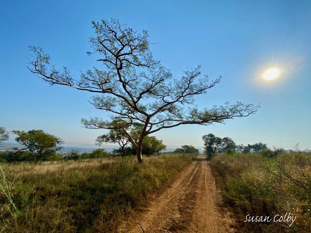 Walking the backroads