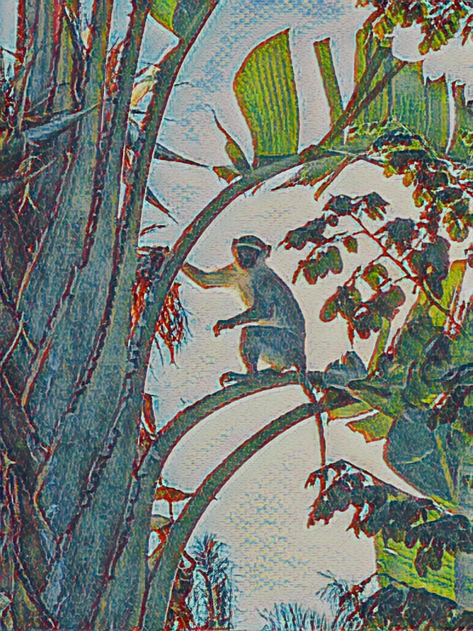 Lockdown Winding Down