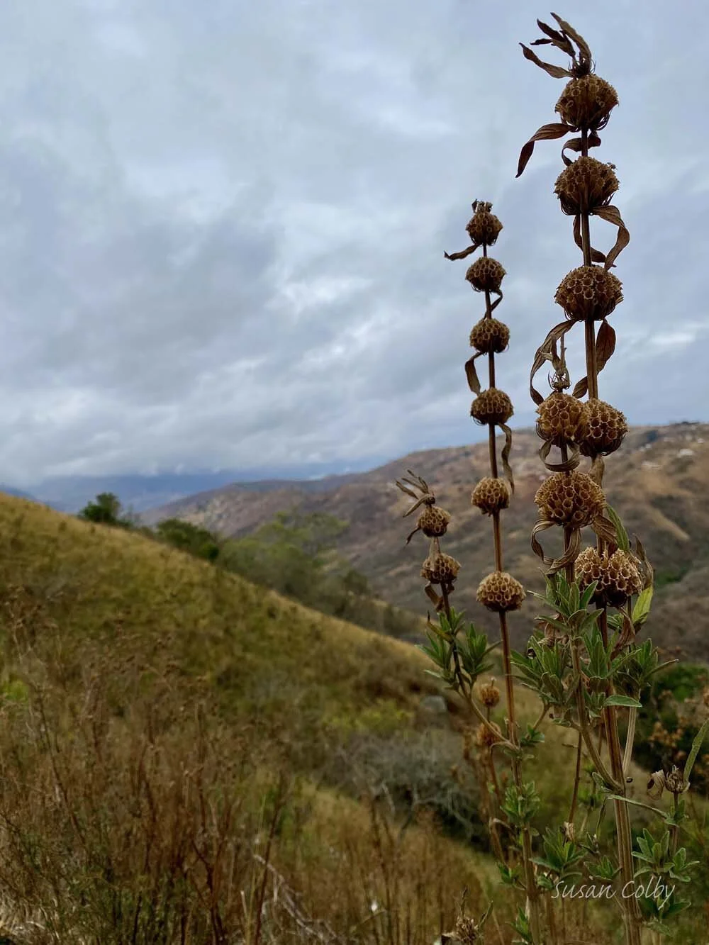 Field Trip to Valley of a 1000 Hills