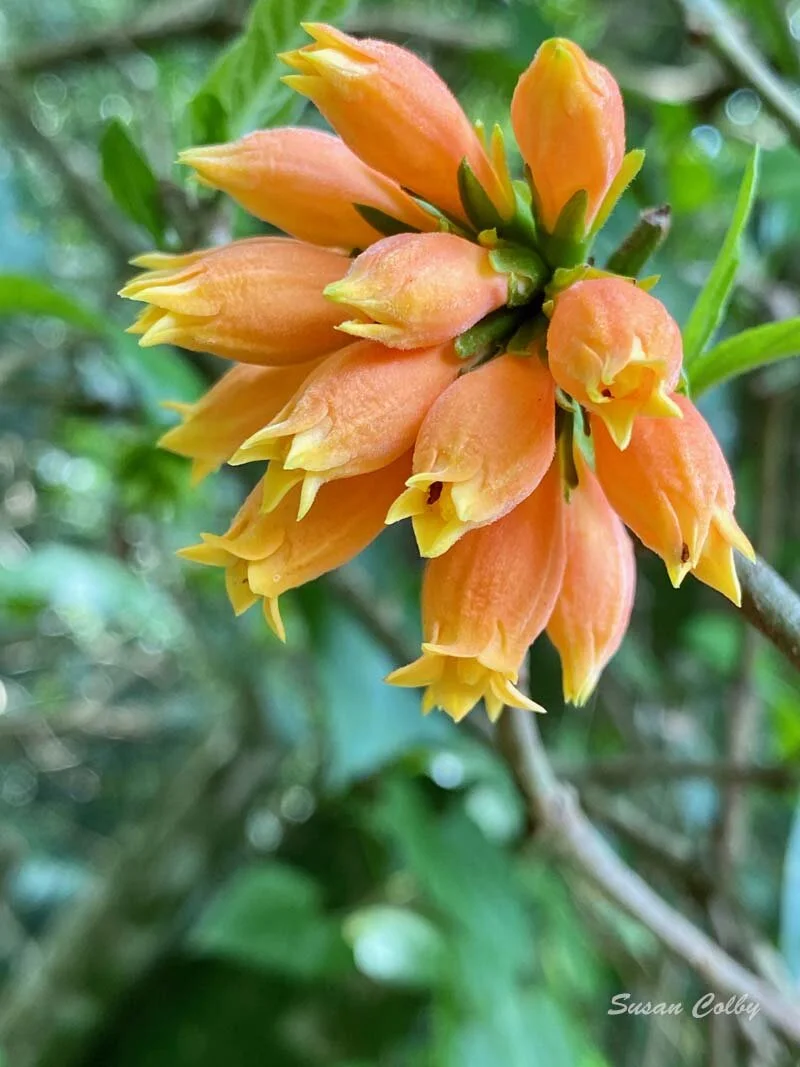 We've Survived...So Far