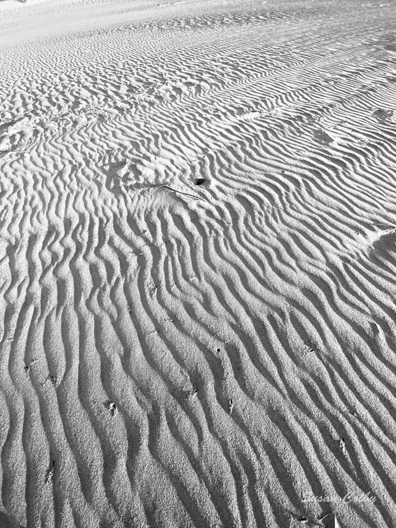 Textures in the sand