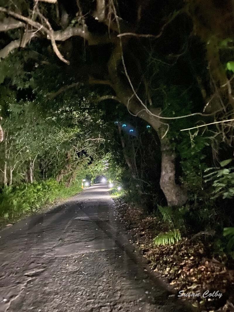 Walking home at night