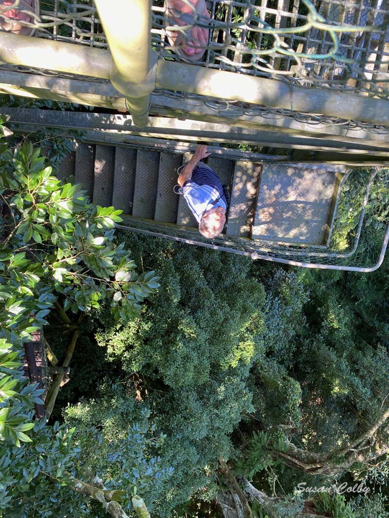 Mick climbing the tower