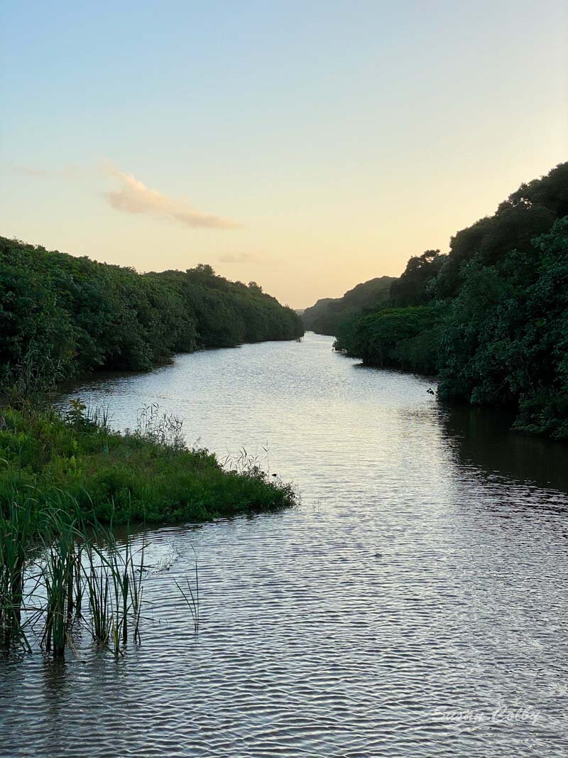 Early morning river