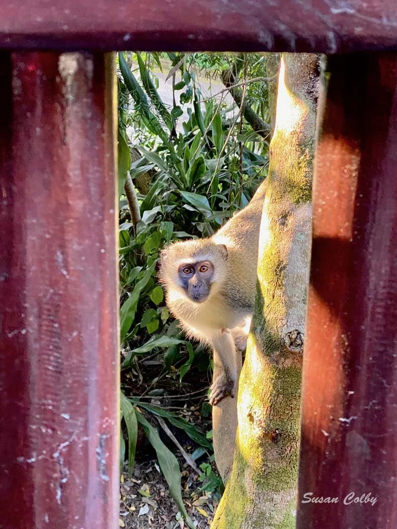 Damn, It's Good to be Out and About!