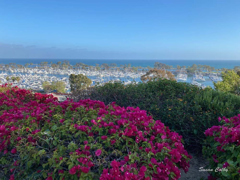 Dana Point Harbor