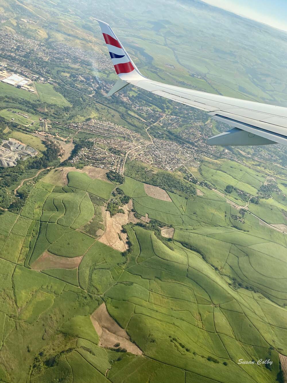 Sugar cane fields