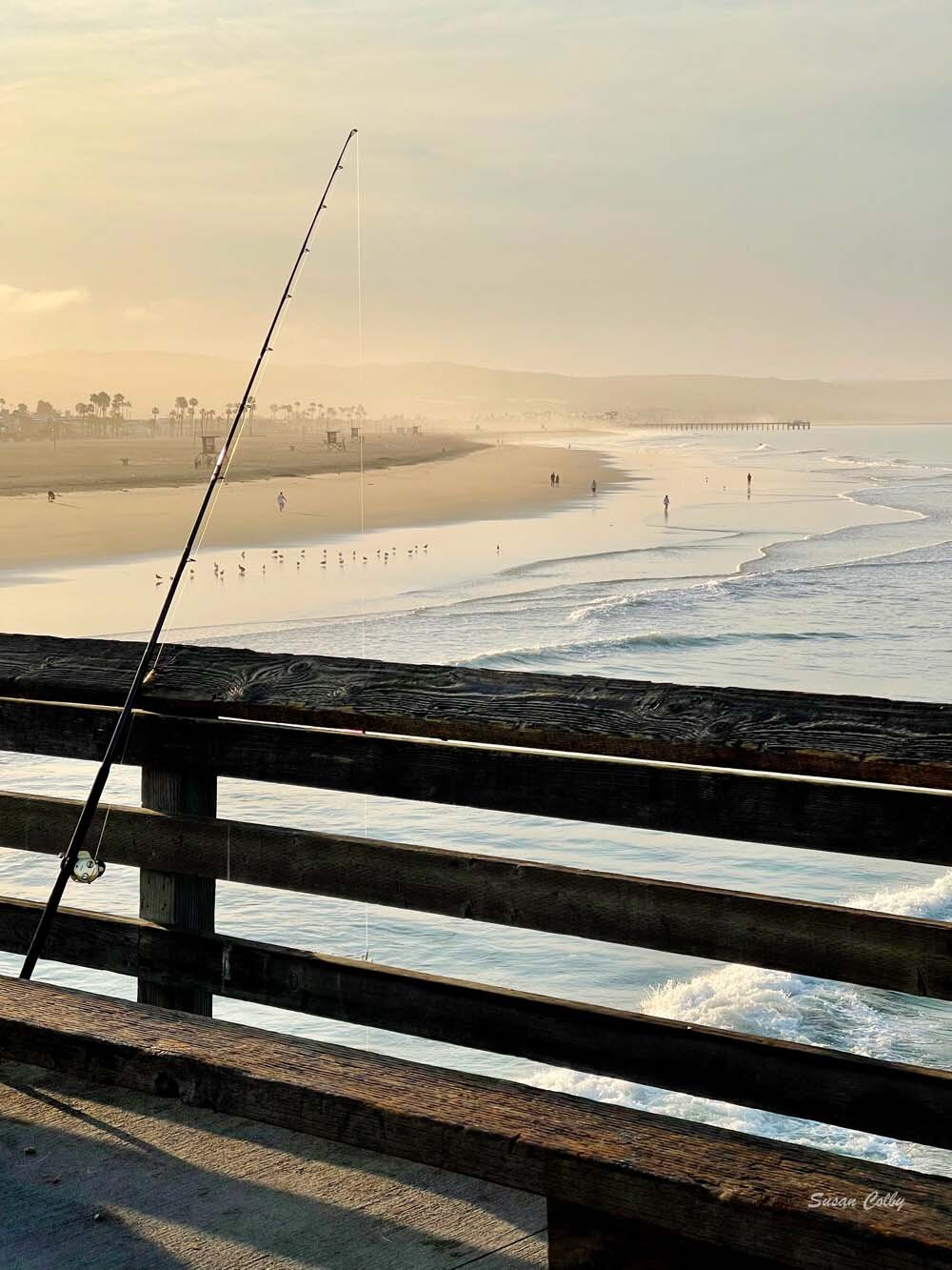 Fishing from Newport Pier