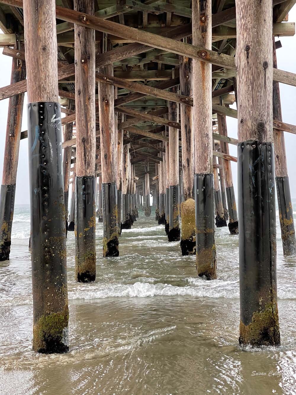 Pilings at the Newport Pier