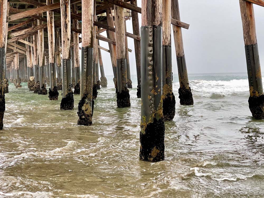 Pilings at the Newport Pier