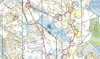Kurikan puulaakisuunnistuskilpailut Luopajärvellä