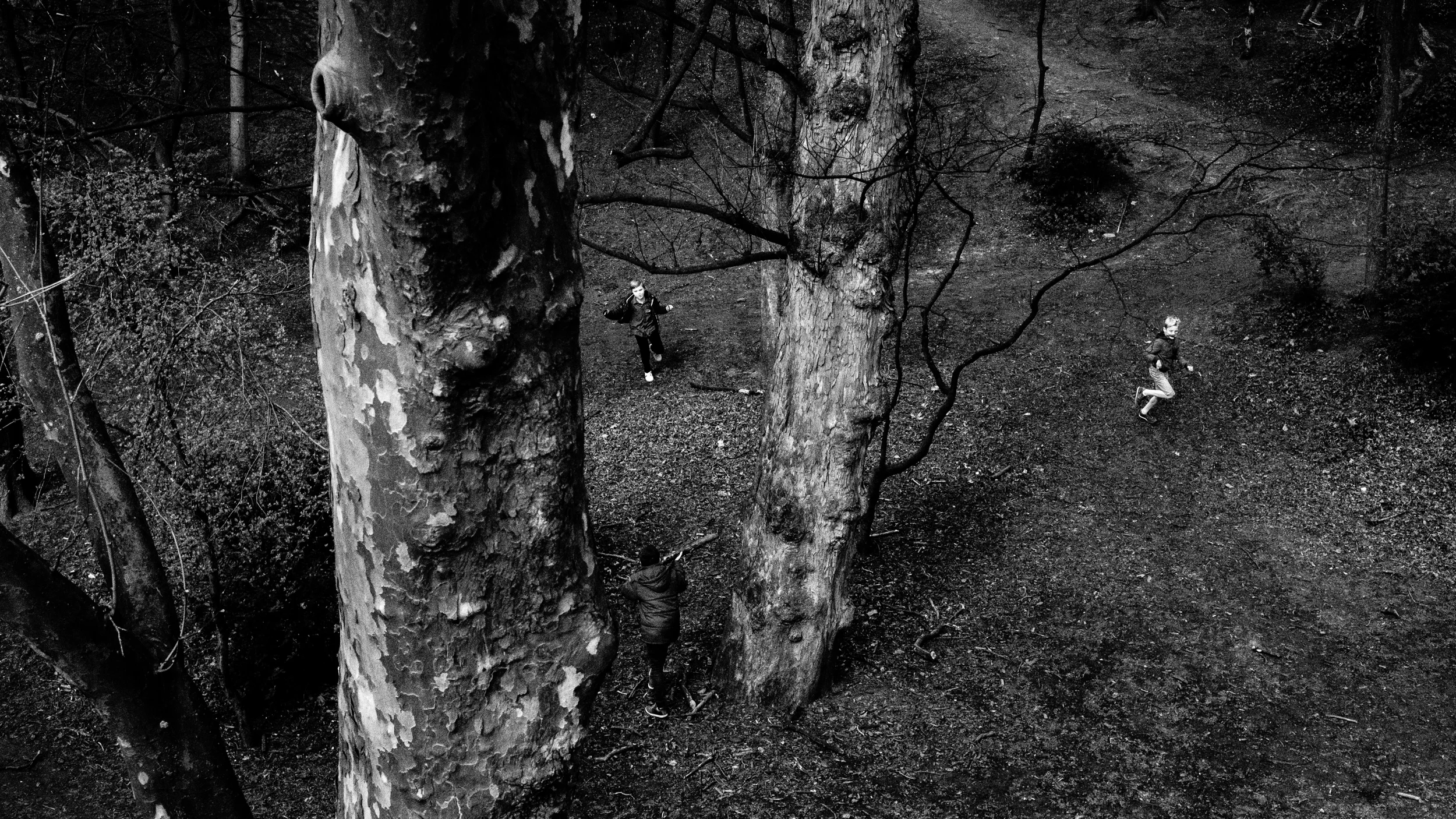 Hide &amp; Seek