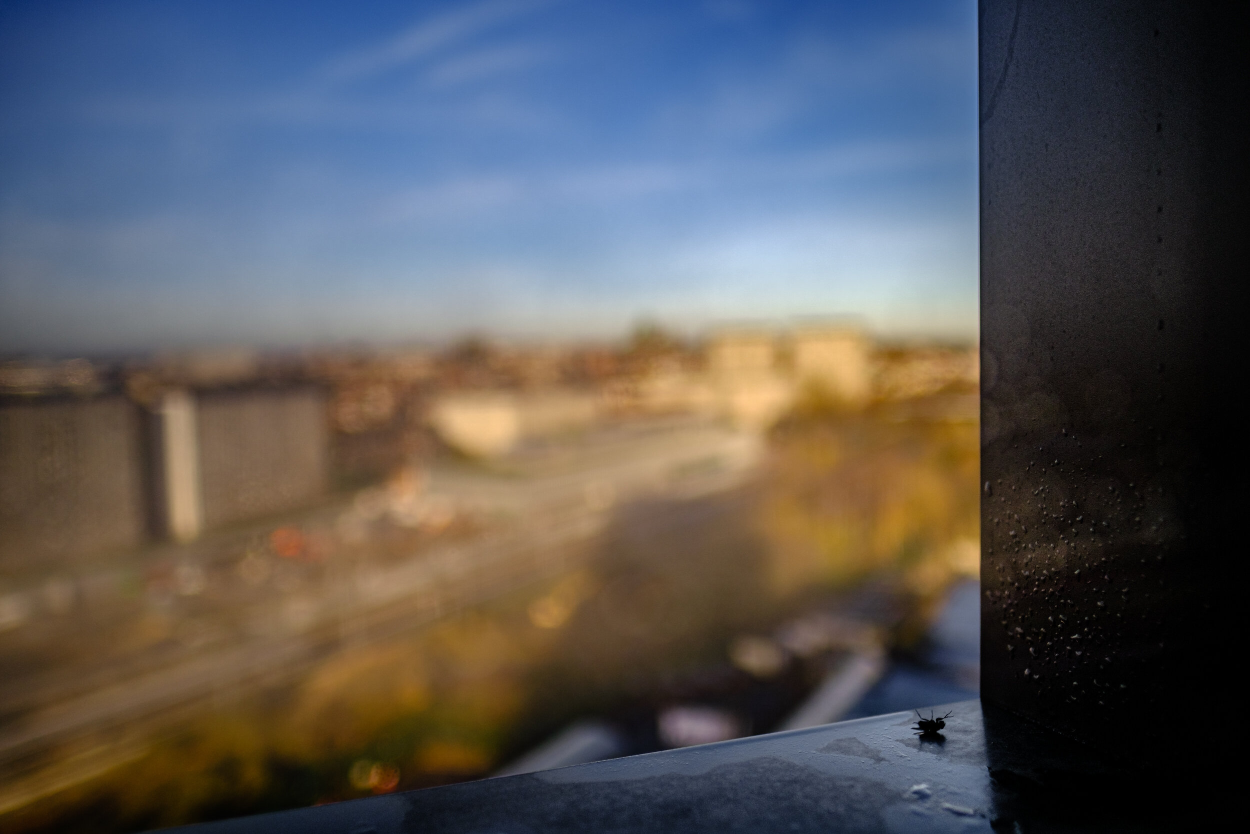 Windowsill 