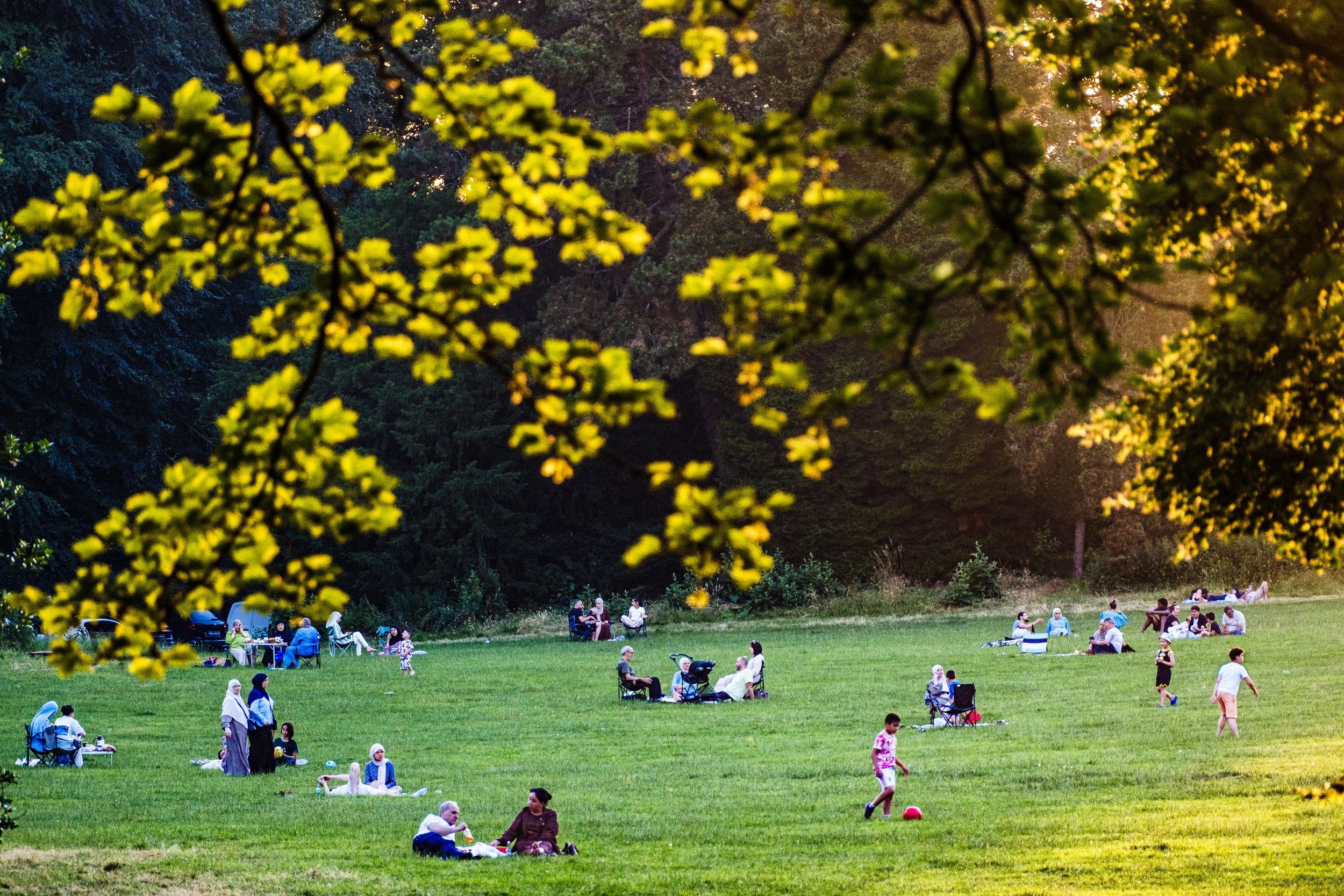 June 25, 2026 - Parc de Laeken