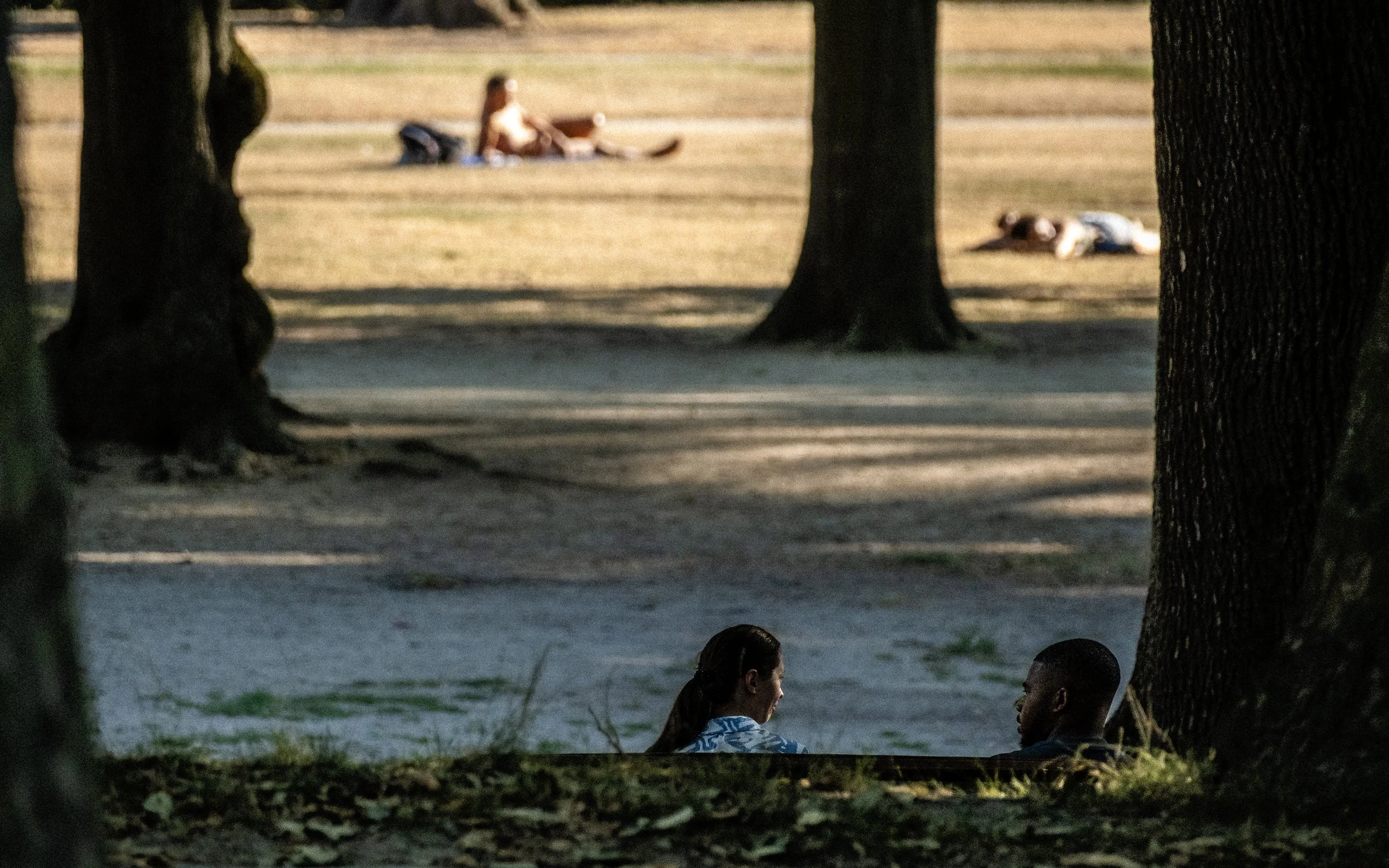 July 29, 2026 - Parc du Cinquantenaire 