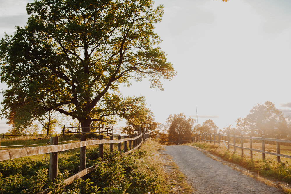 Strömsholm's Sunset