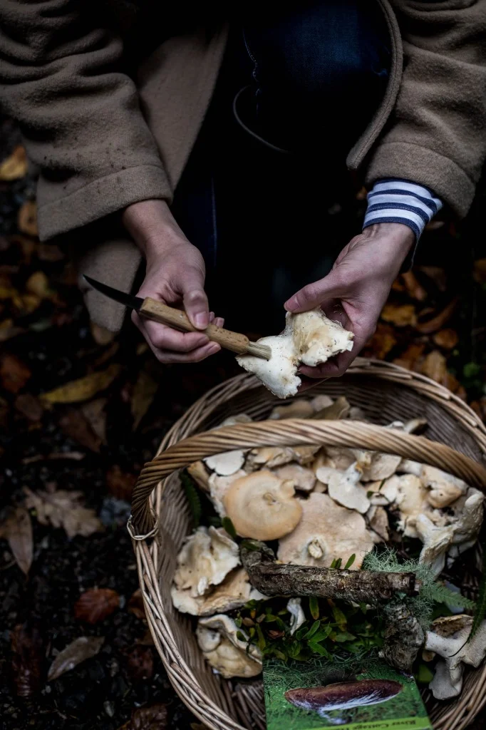 mushroomskye-682x1024.jpg
