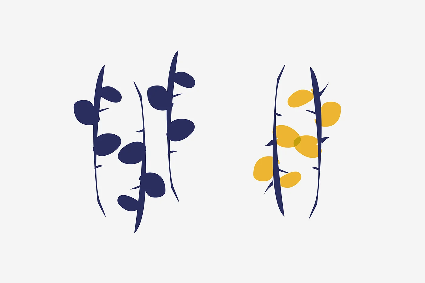 dame-yucca-studio-creation-paris-textile-design-maison-reves-maison-arganiers-thumb.jpg