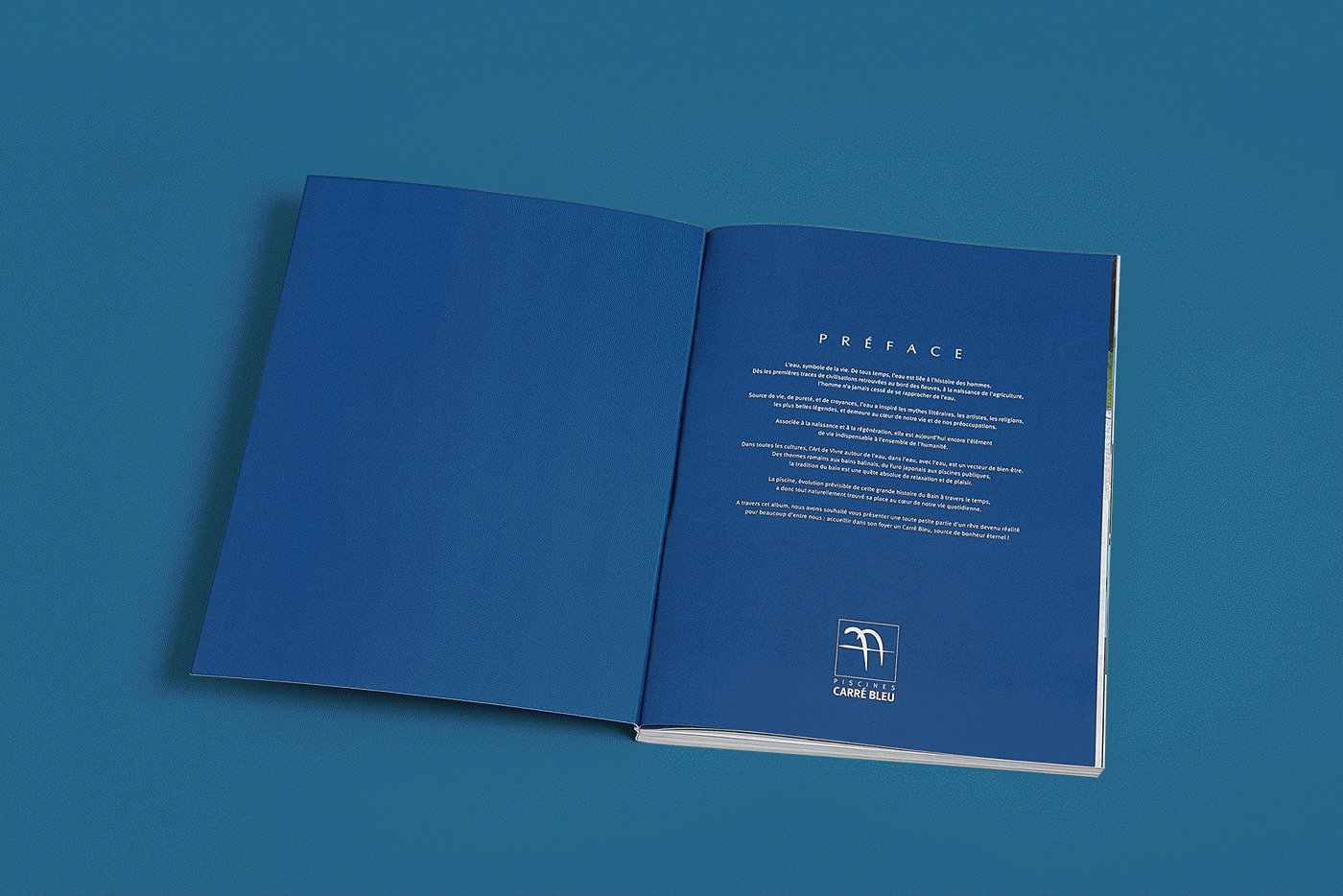 dame-yucca-studio-creation-paris-graphisme-edition-carre-bleu-gif-01.gif