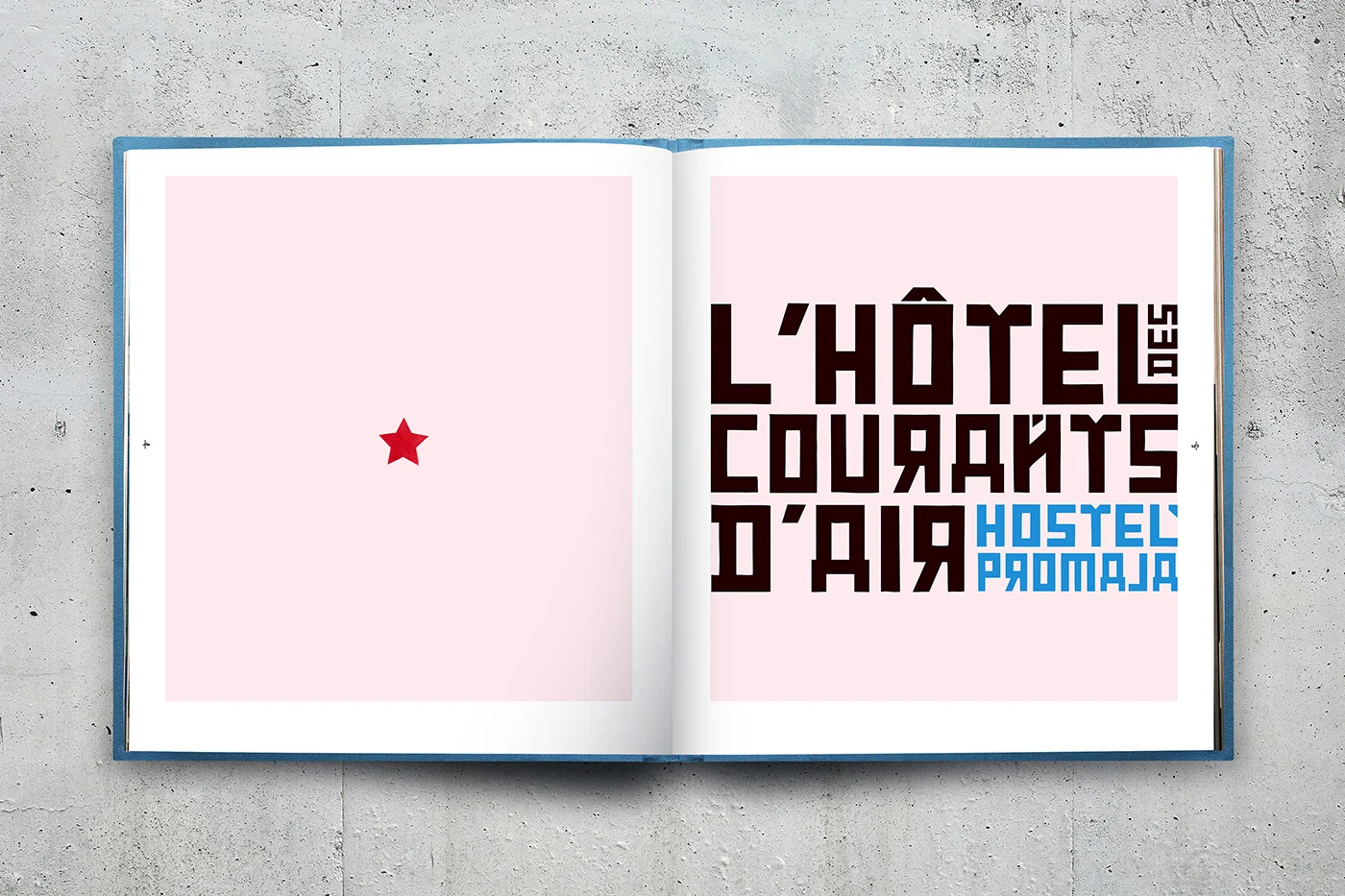 dame-yucca-studio-creation-paris-direction-artistique-edition-hostel-promaja-2.jpg