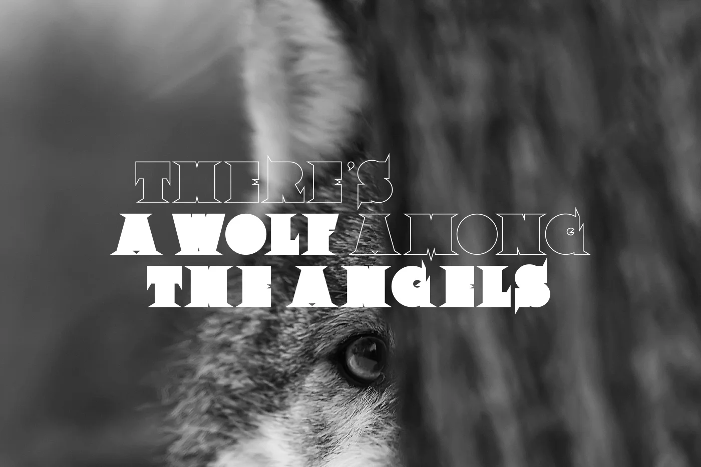 dame-yucca-studio-creation-paris-typographie-font-beautifuel-8.jpg