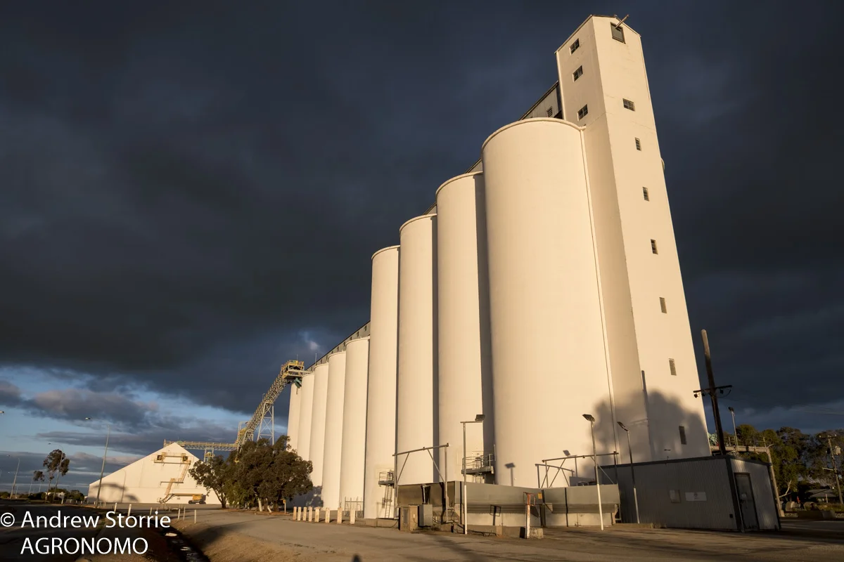 Grain bins / silos, Tammin, WA