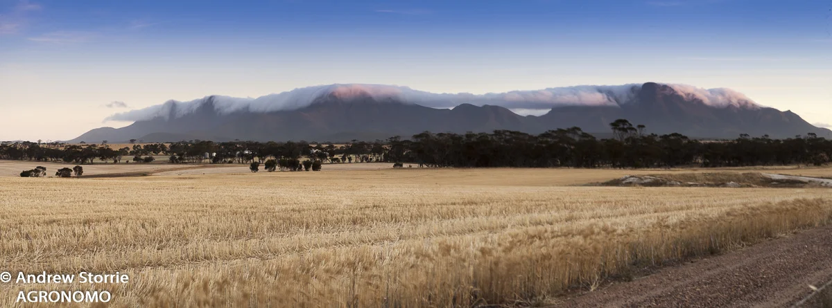 Stirling Range (east) near Amelup, WA