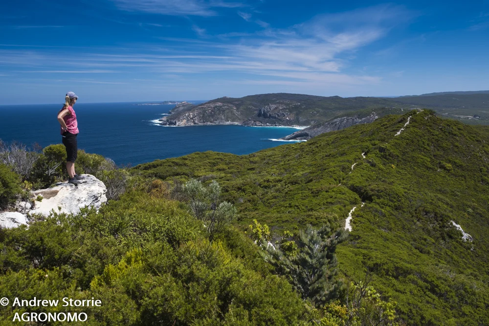 Bald Head, Albany, WA