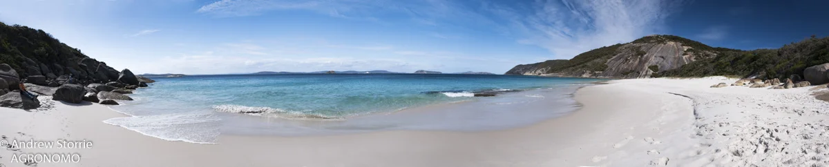 Misery_beach-1.jpg