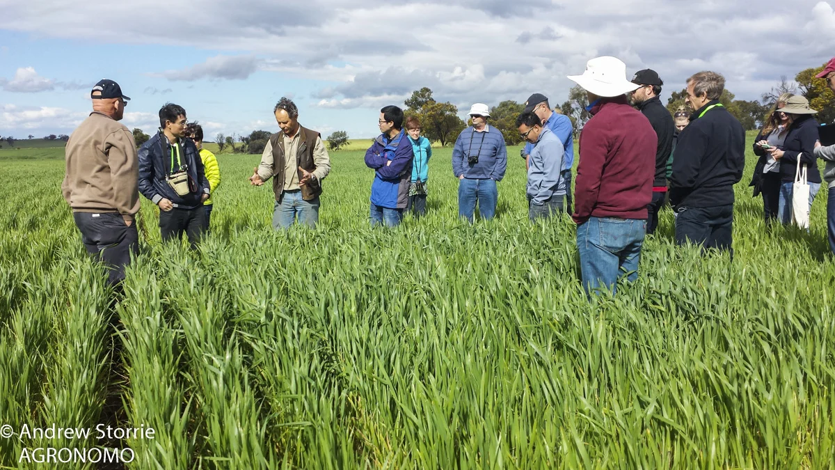 Weed management field day