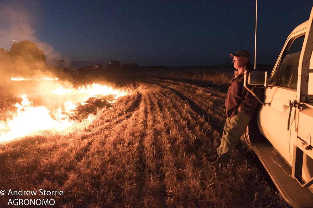 Narrow_windrow_burning-1.jpg