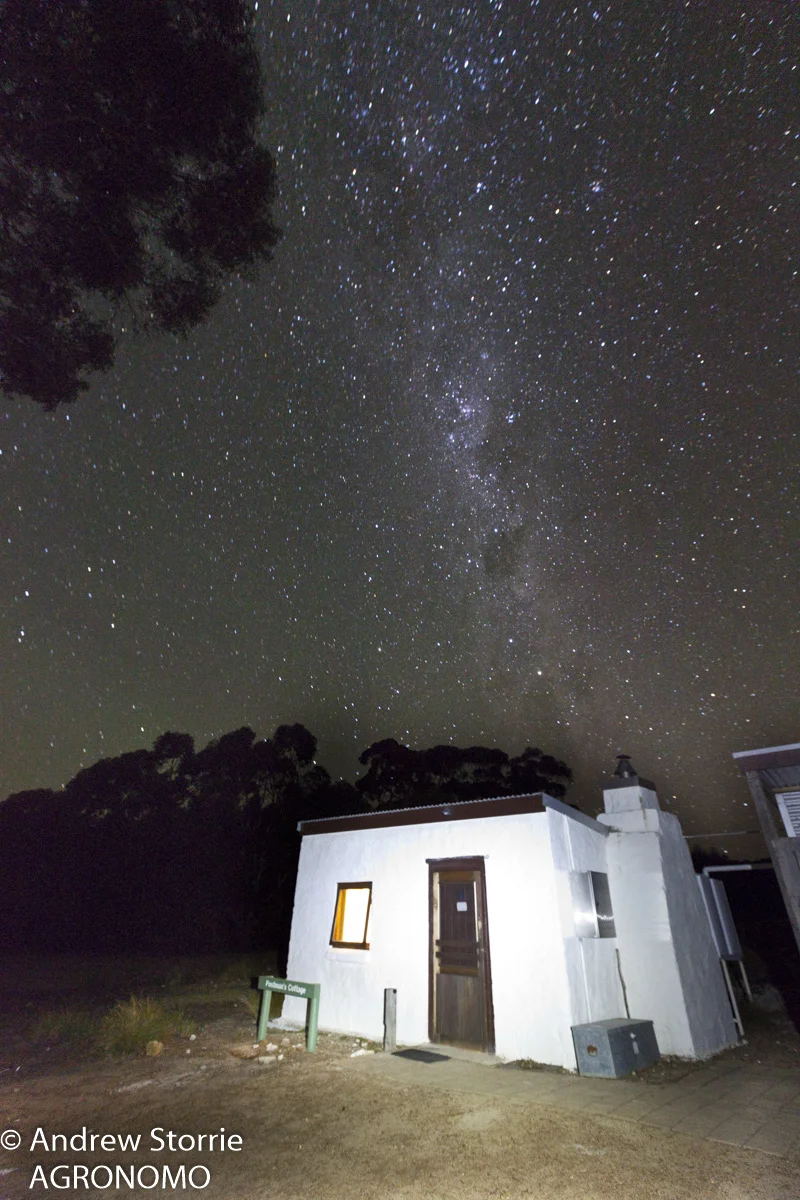 KI_night-1.jpg